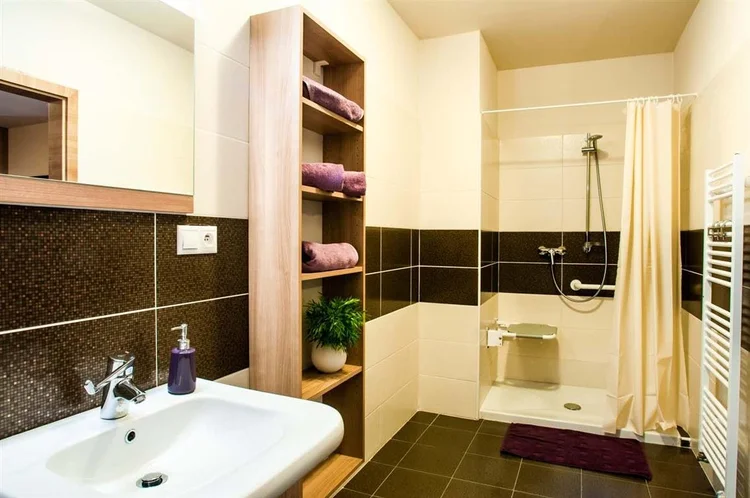 Bathroom in the accessible studio