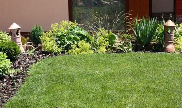 Garden beside the atrium