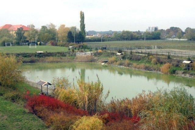 Horse Riding and Fishing, photo 1